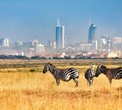 1-Day Best of Nairobi City Excursion