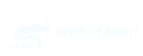Spirit_Logo-Light