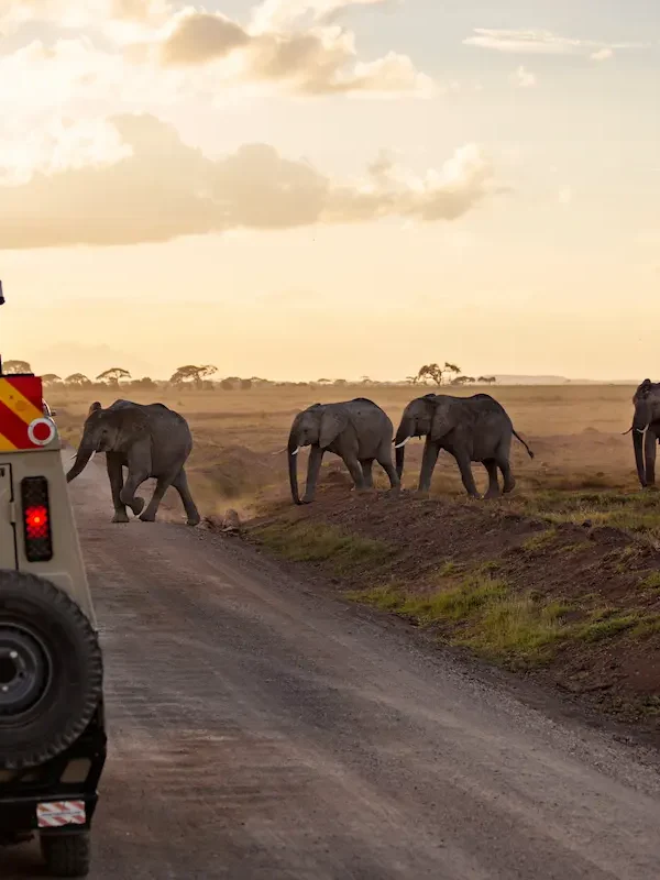 Geography-of-Amboseli-National-Park