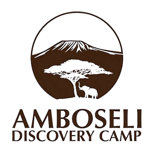 amboseli logo